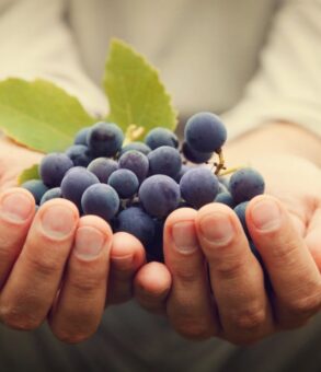 wine-blog-img-1 wine-blog-img-1
